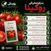 بذر گوجه فرنگی روکینا