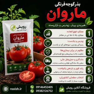 بذر گوجه فرنگی ماروان | رویش | فروشگاه تخصصی بذر بذر گوجه فرنگی ماروان