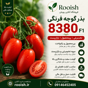بذر گوجه فرنگی 8380 | رویش | فروشگاه تخصصی بذر بذر گوجه فرنگی 8380