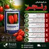 بذر گوجه فرنگی رنجر | رویش | فروشگاه تخصصی بذر بذر گوجه فرنگی رنجر