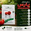 بذر گوجه پارس