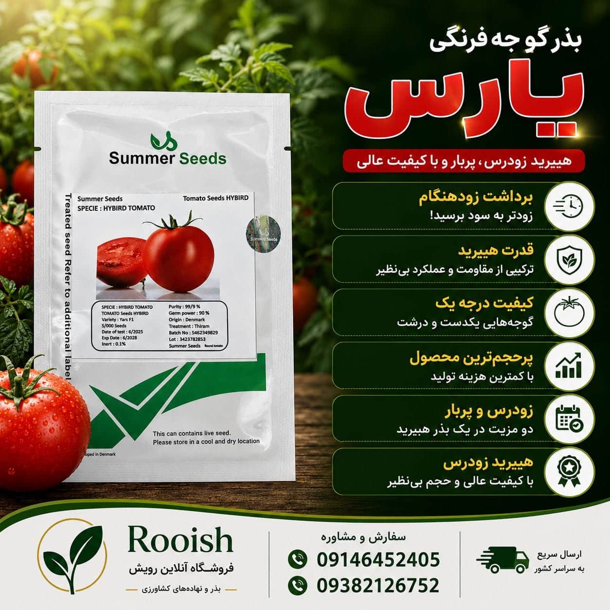 بذر گوجه پارس | رویش | فروشگاه تخصصی بذر بذر گوجه پارس