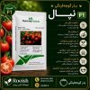 بذر گوجه نپال