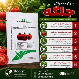 بذر گوجه جلگه