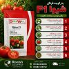 بذر گوجه شیوا | رویش | فروشگاه تخصصی بذر بذر گوجه شیوا