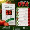 بذر گوجه فرنگی 074 | رویش | فروشگاه تخصصی بذر بذر گوجه فرنگی 074
