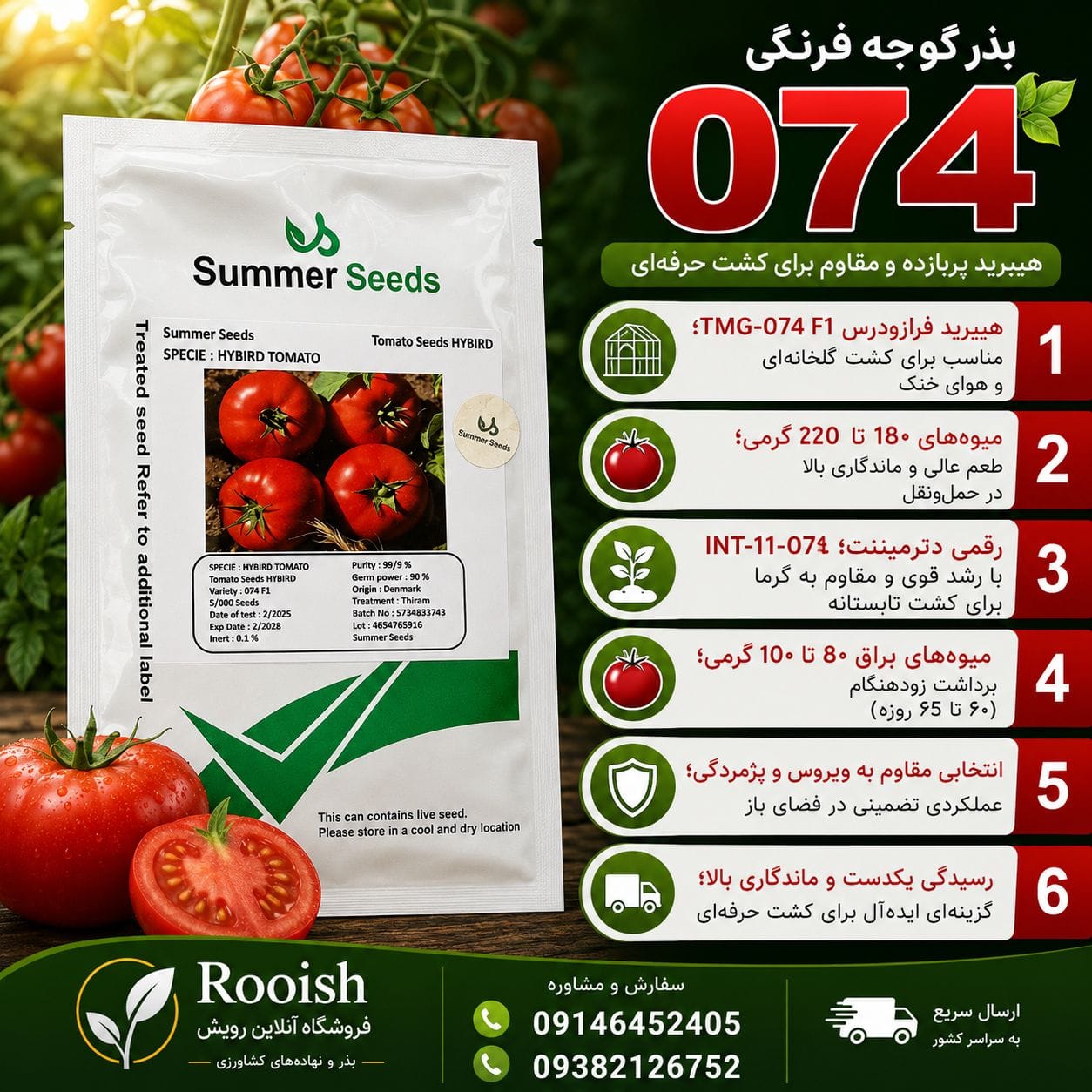 بذر گوجه فرنگی 074 | رویش | فروشگاه تخصصی بذر بذر گوجه فرنگی 074