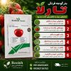 بذر گوجه فرنگی تارلا