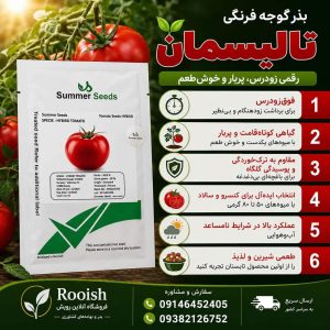 بذر گوجه فرنگی تالیسمان | رویش | فروشگاه تخصصی بذر بذر گوجه فرنگی تالیسمان