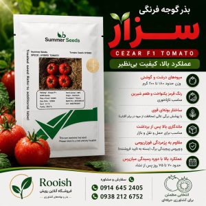 بذر گوجه فرنگی سزار | رویش | فروشگاه تخصصی بذر بذر گوجه فرنگی سزار