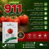 بذر گوجه فرنگی 911