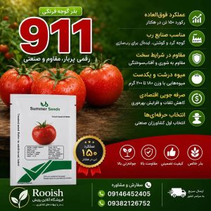 بذر گوجه فرنگی 911 | رویش | فروشگاه تخصصی بذر بذر گوجه فرنگی 911