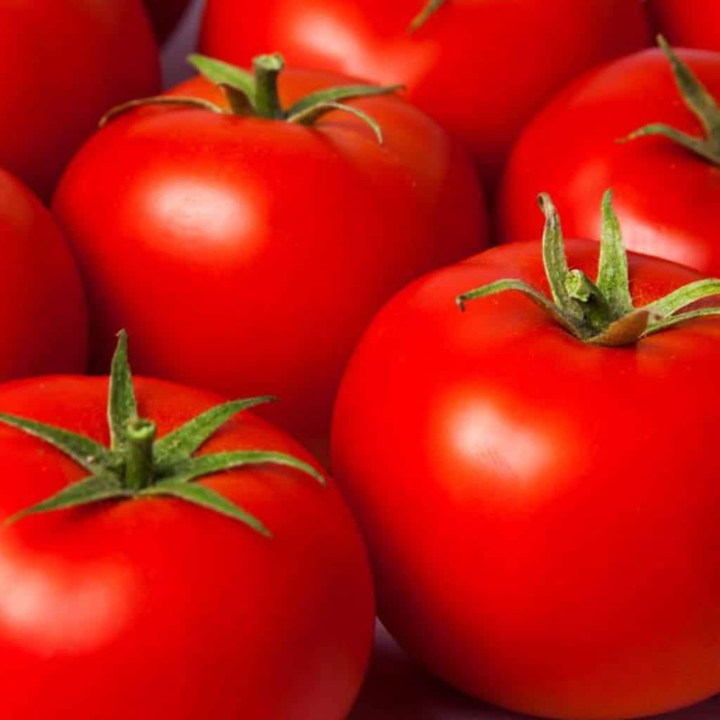 فروشگاه آنلاین رویش