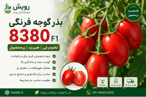 بذر گوجه فرنگی 8380 F1 خرید،قیمت،مشخصات و راهنمای کامل کاشت | رویش | فروشگاه تخصصی بذر بذر گوجه فرنگی 8380 F1 خرید،قیمت،مشخصات و راهنمای کامل کاشت