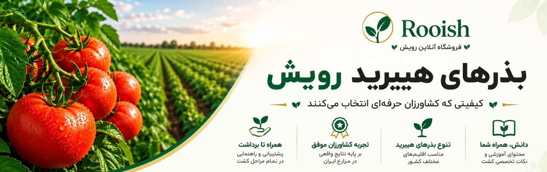 فروشگاه آنلاین رویش