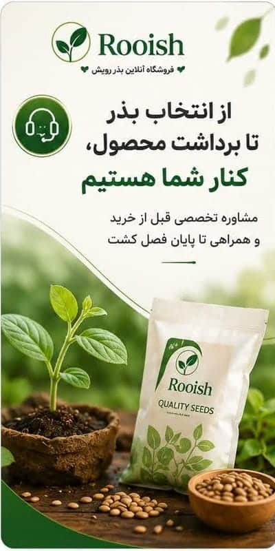 فروشگاه رویش